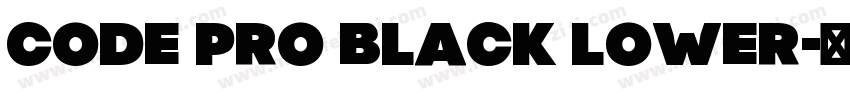 Code Pro Black Lower字体转换